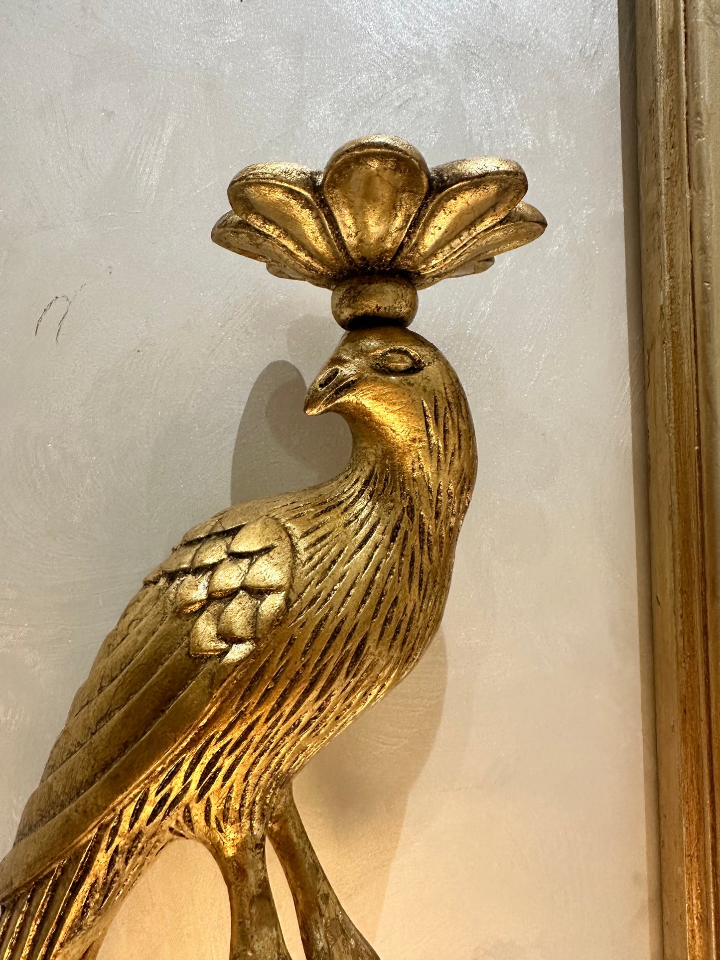 Aureate Birds
