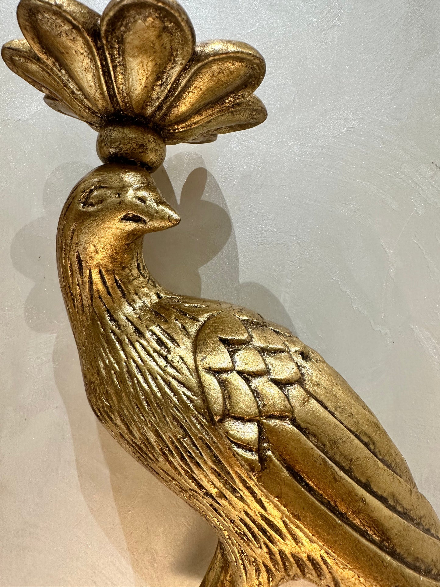Aureate Birds